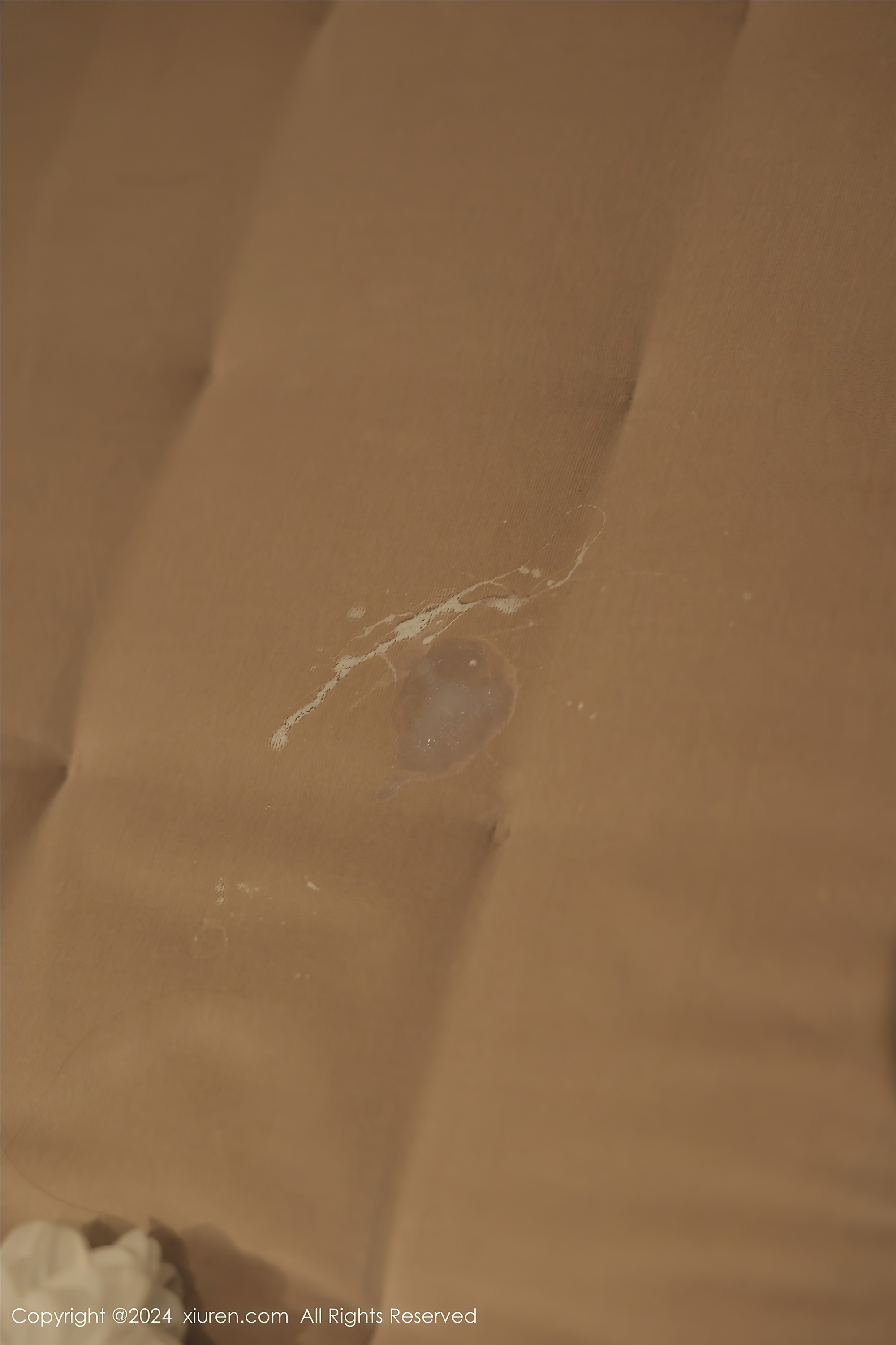 Xiuren秀人网 2024.12.13 NO.9601 桃妖夭